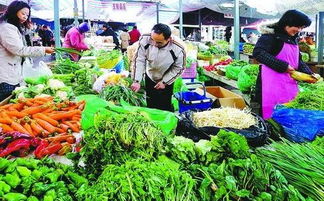 京津冀启动蔬菜保供协议 建1小时鲜活农产品物流圈