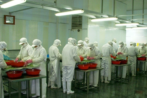 河北省农产品加工业提升行动推进方案印发
